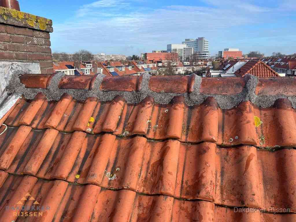 Rijssen Daken Renoveren