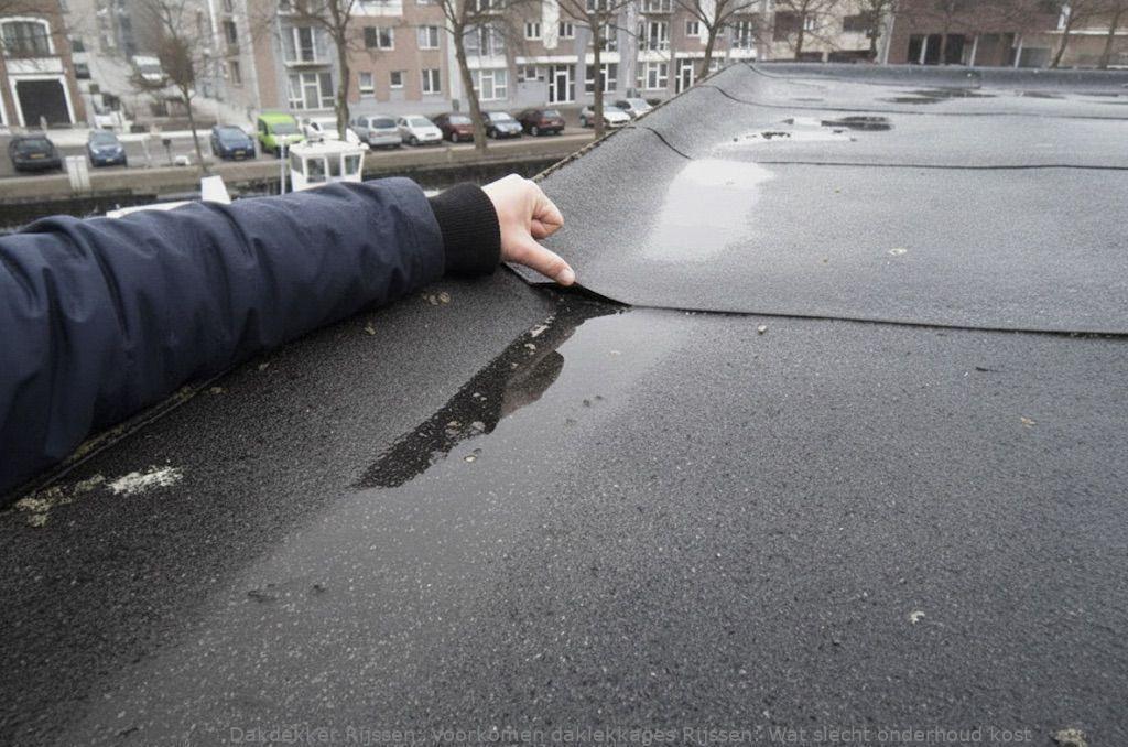 Voorkomen Daklekkages Rijssen